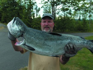 The famous Hood Canal Shrimp