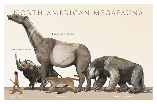What on Earth happened to all the animals that went extinct, including