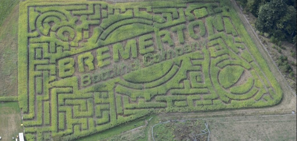 Minder Farm Corn Maze